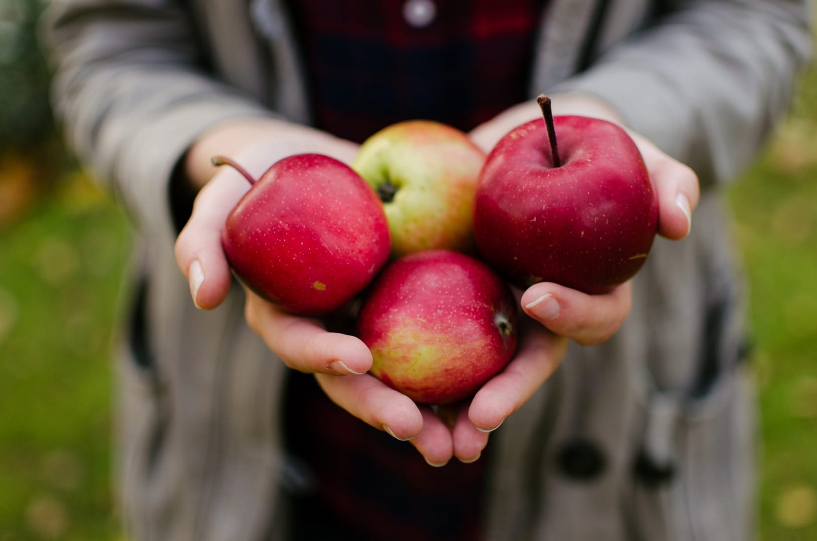 So schmeckt Glück - Symbolbild for das Rezept Hirse mit gedünstetem Apfel und Cashewkernen - Photo by Aarón Blanco Tejedor on Unsplash