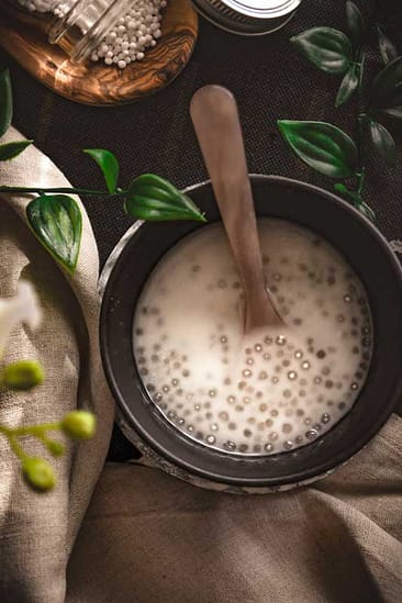 Süße Tapiokaperlen in Kokosmilch schön angerichtet